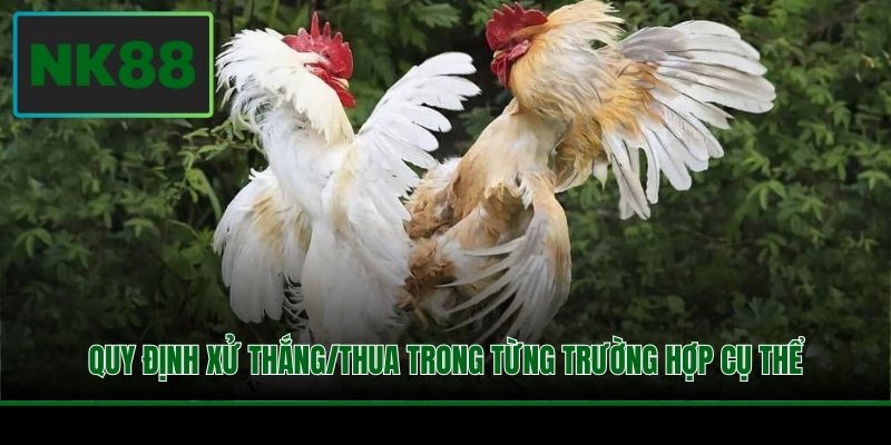 Luật Đá Gà - Nắm Rõ Để Rinh Về Tay Phần Thưởng Khủng 3 Quy định xử thắng/thua trong từng trường hợp cụ thể